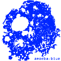 amoeba.blue